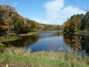 netrail-1