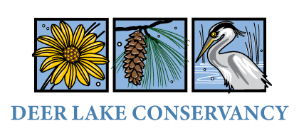 Deer Lake Conservancy