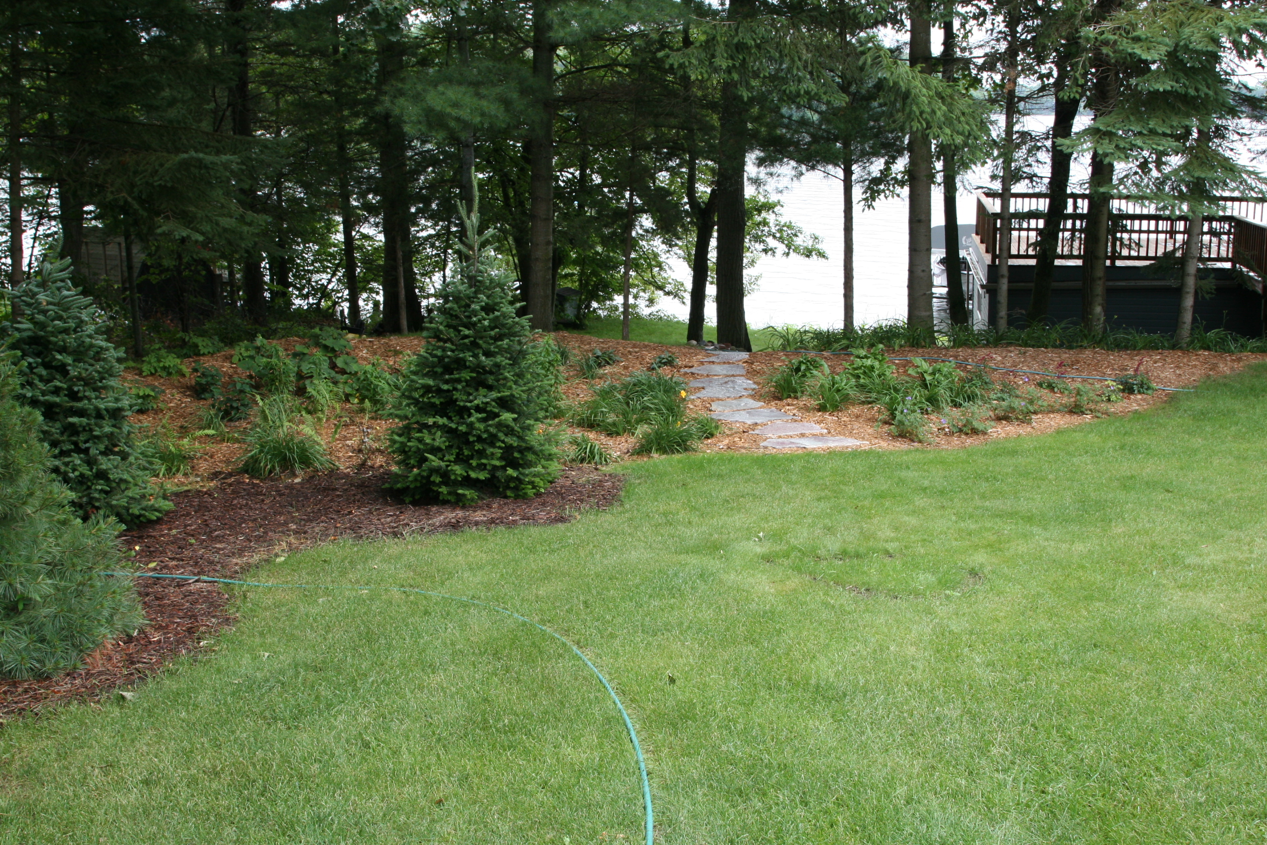 Rain Garden